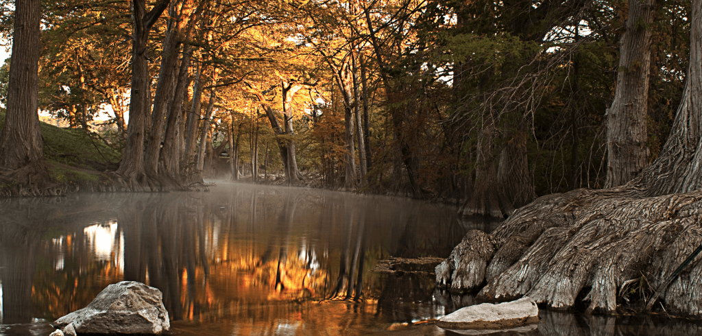 A serene river winds through a forest of tall trees with autumn leaves, reflecting golden light
